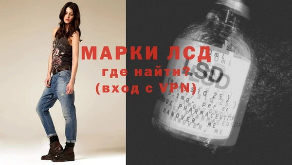 прущие грибы Медвежьегорск