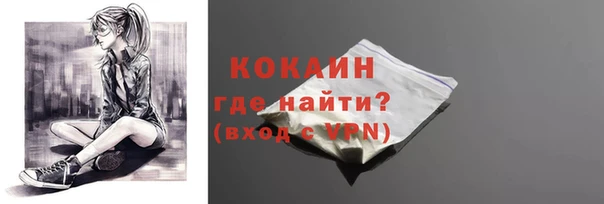 трава Гусиноозёрск