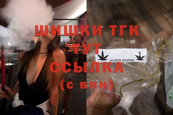 мдпв Михайловск