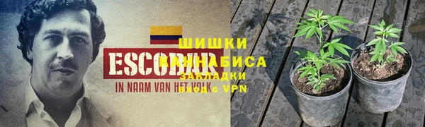 дмт Зуевка