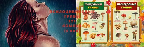 а пвп мука Ивангород